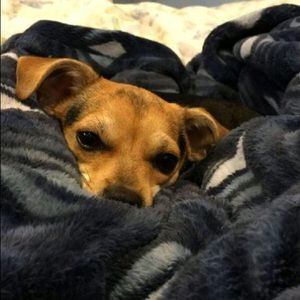 Meet your Posher, Andrew